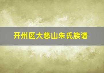 开州区大慈山朱氏族谱