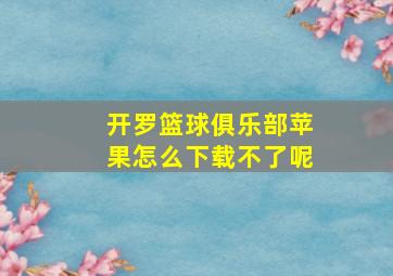 开罗篮球俱乐部苹果怎么下载不了呢