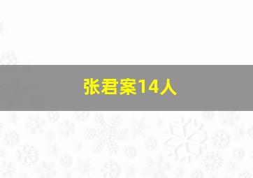 张君案14人