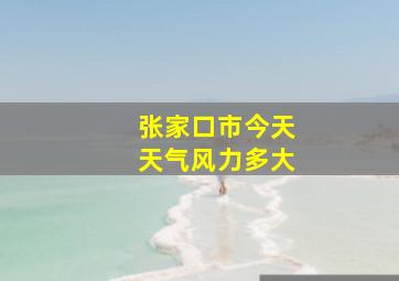 张家口市今天天气风力多大