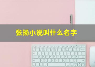 张扬小说叫什么名字