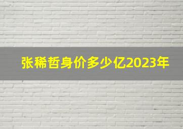 张稀哲身价多少亿2023年