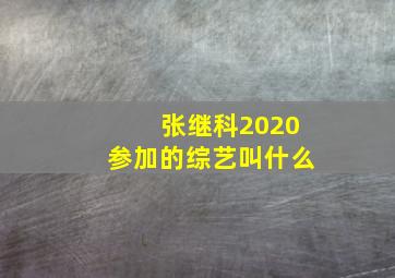 张继科2020参加的综艺叫什么