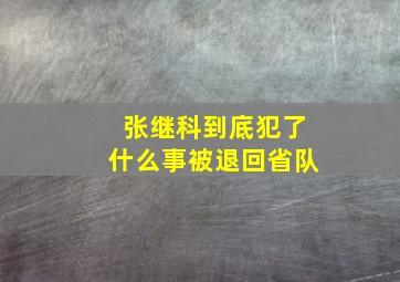 张继科到底犯了什么事被退回省队