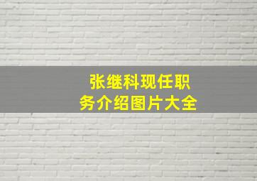 张继科现任职务介绍图片大全