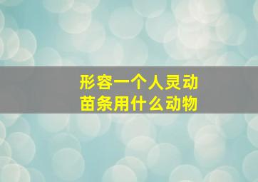 形容一个人灵动苗条用什么动物