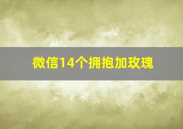 微信14个拥抱加玫瑰