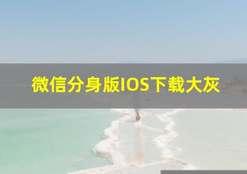 微信分身版IOS下载大灰