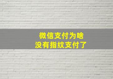 微信支付为啥没有指纹支付了