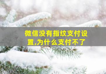 微信没有指纹支付设置,为什么支付不了