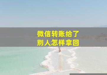 微信转账给了别人怎样拿回