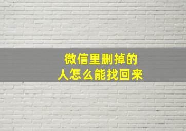 微信里删掉的人怎么能找回来