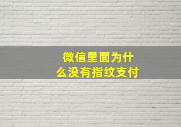 微信里面为什么没有指纹支付