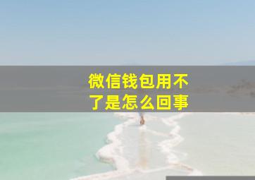 微信钱包用不了是怎么回事