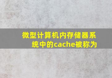 微型计算机内存储器系统中的cache被称为