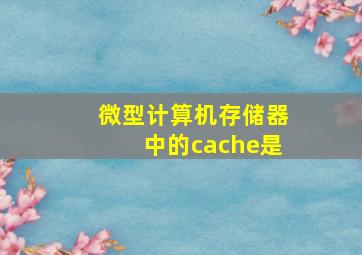 微型计算机存储器中的cache是