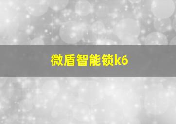 微盾智能锁k6