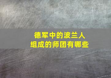 德军中的波兰人组成的师团有哪些