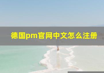 德国pm官网中文怎么注册