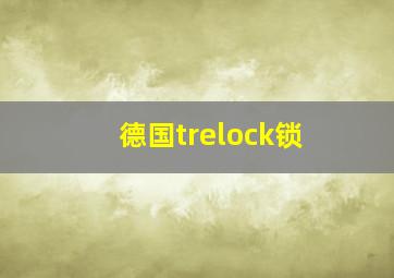 德国trelock锁