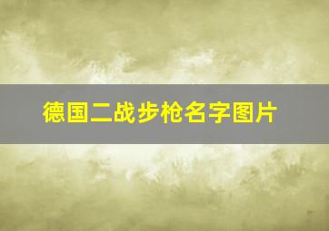 德国二战步枪名字图片