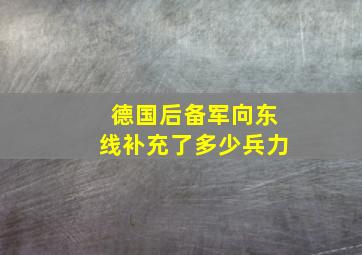 德国后备军向东线补充了多少兵力