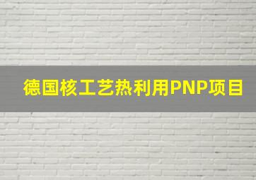 德国核工艺热利用PNP项目