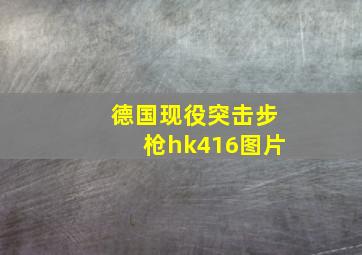 德国现役突击步枪hk416图片