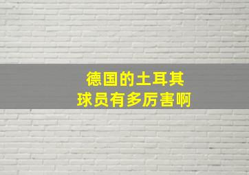 德国的土耳其球员有多厉害啊