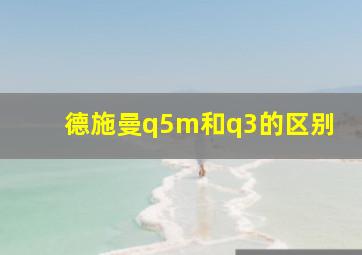 德施曼q5m和q3的区别