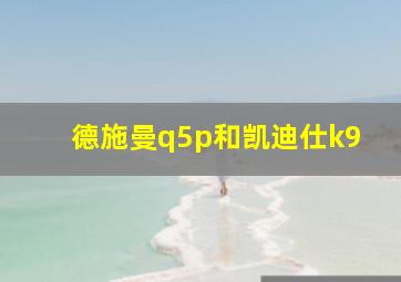 德施曼q5p和凯迪仕k9