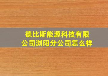 德比斯能源科技有限公司浏阳分公司怎么样