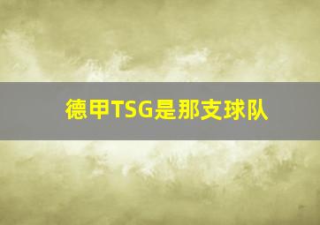 德甲TSG是那支球队