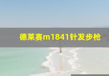 德莱赛m1841针发步枪