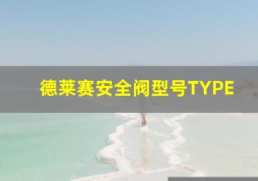 德莱赛安全阀型号TYPE