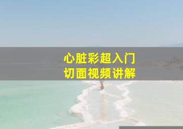 心脏彩超入门切面视频讲解