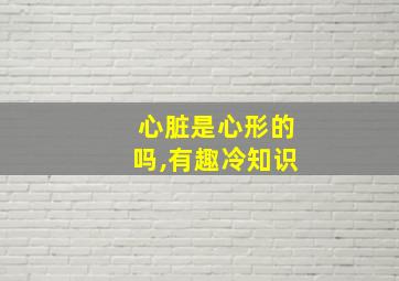 心脏是心形的吗,有趣冷知识