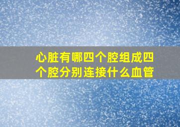 心脏有哪四个腔组成四个腔分别连接什么血管