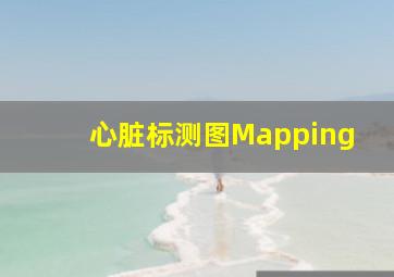 心脏标测图Mapping