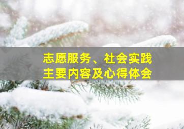 志愿服务、社会实践主要内容及心得体会