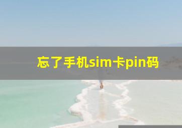 忘了手机sim卡pin码