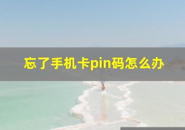 忘了手机卡pin码怎么办