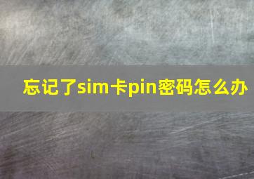 忘记了sim卡pin密码怎么办