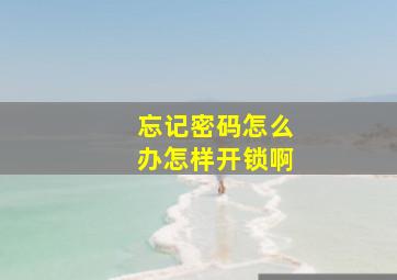 忘记密码怎么办怎样开锁啊