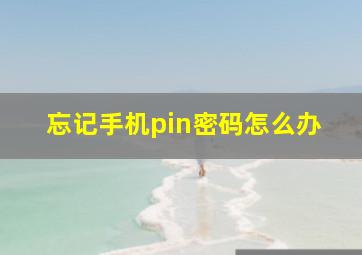 忘记手机pin密码怎么办