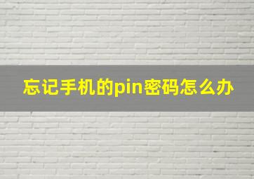 忘记手机的pin密码怎么办