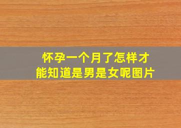 怀孕一个月了怎样才能知道是男是女呢图片