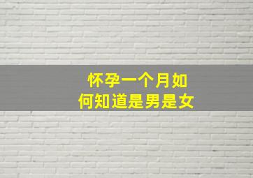 怀孕一个月如何知道是男是女