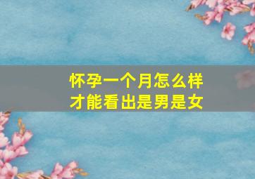 怀孕一个月怎么样才能看出是男是女