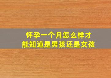 怀孕一个月怎么样才能知道是男孩还是女孩